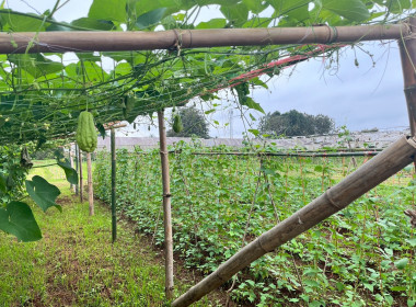 ร่วมสังเกตการณ์ คณะกรมสหกรณ์และพัฒนาชนบทเมียนมาร์ ... พารามิเตอร์รูปภาพ 50